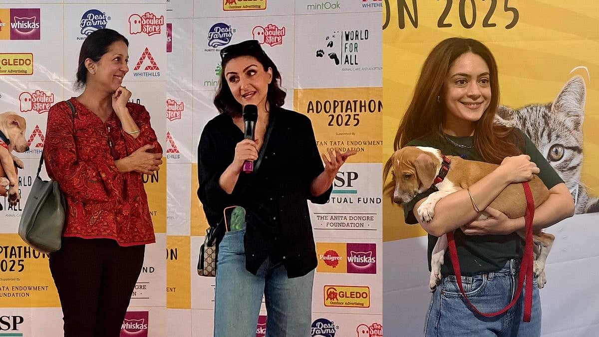 Puppy Party Alert: Adoptathon 2025 Brings Celebs and Cuddles