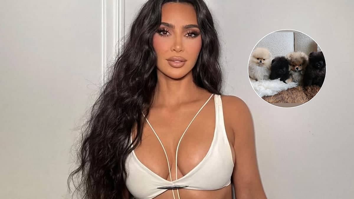 Kardashian ne bachon ko diye puppies, PETA ne kiya shor macha!