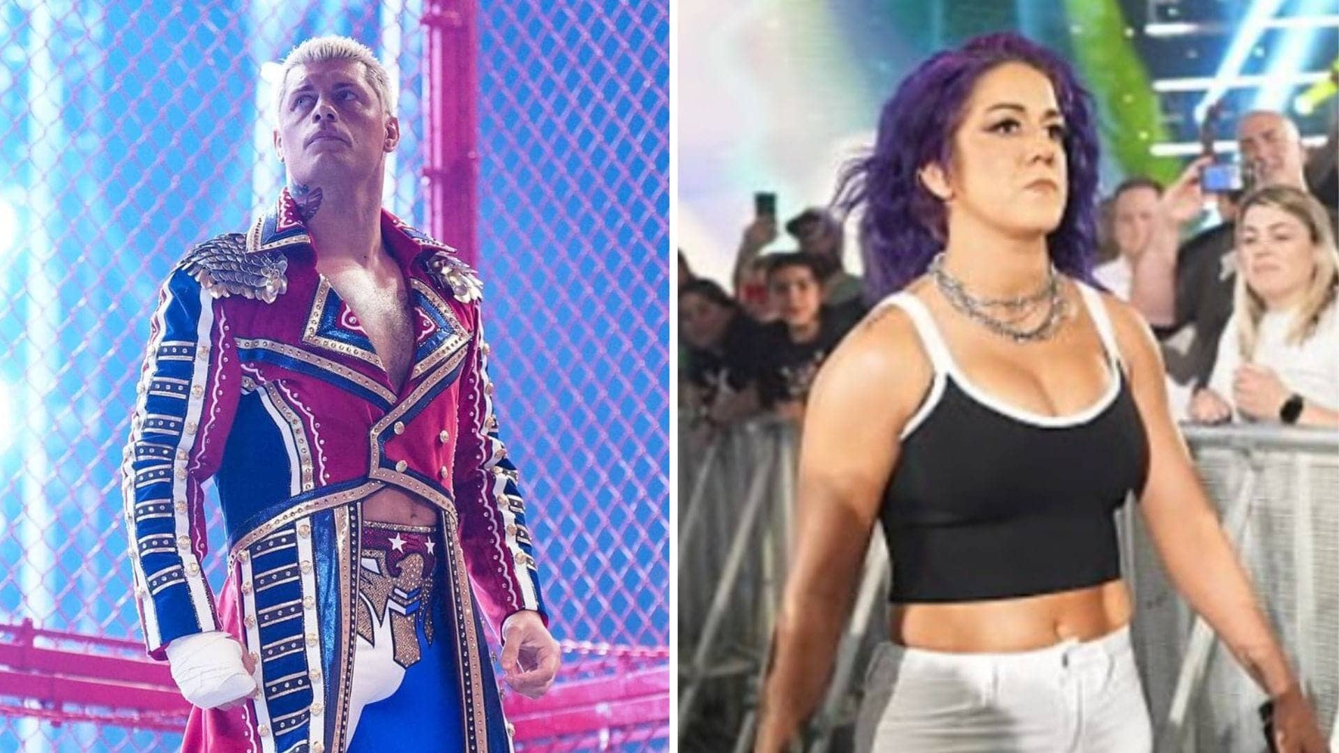 WWE Live: Cody Rhodes triumphs in Steel Cage, Bayley shines!