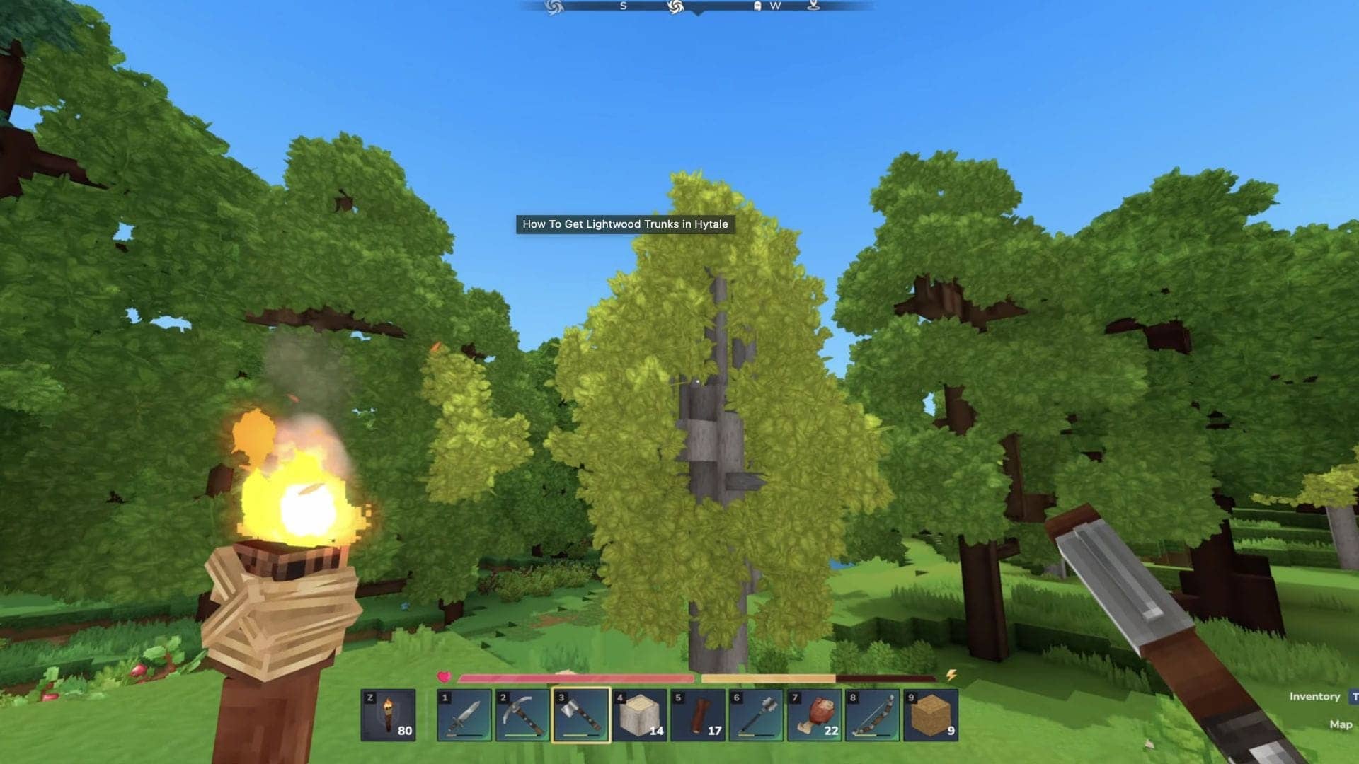Where to find Lightwood in Hytale