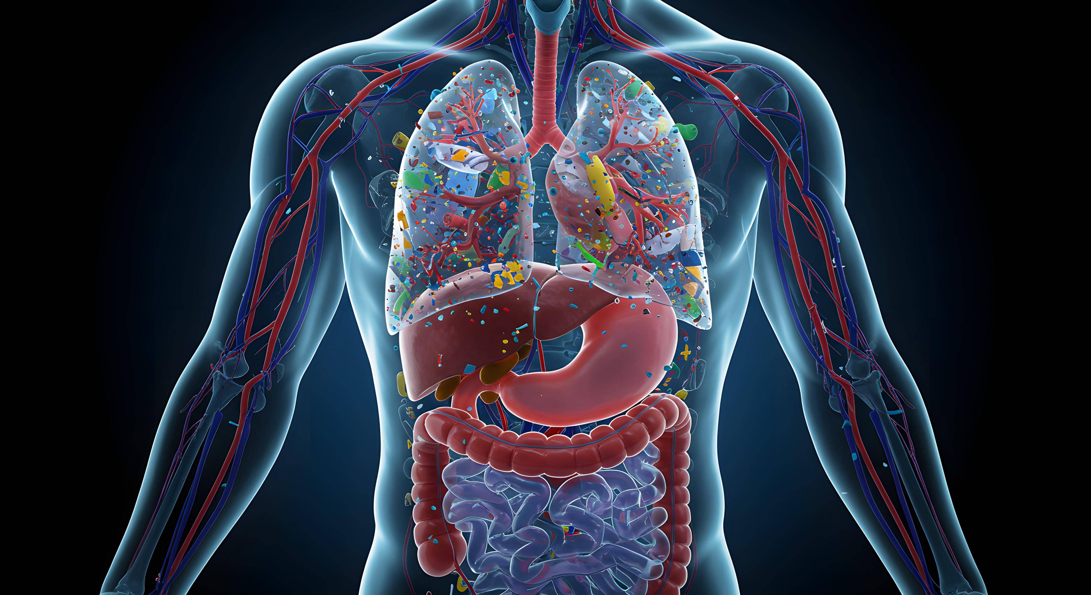 Microplastics in Organs: The Rock's Challenge to Doubts