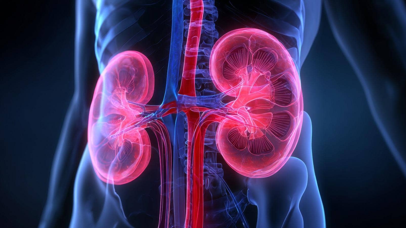 Bile Acid Ki Kahani: Kidney Disease Ka Naya Rang