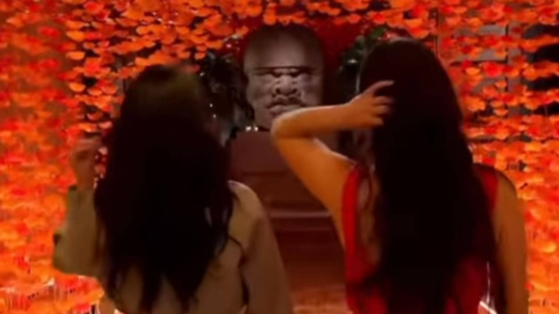 Bella Twins Vow: No Retirement Until They Get Gold!