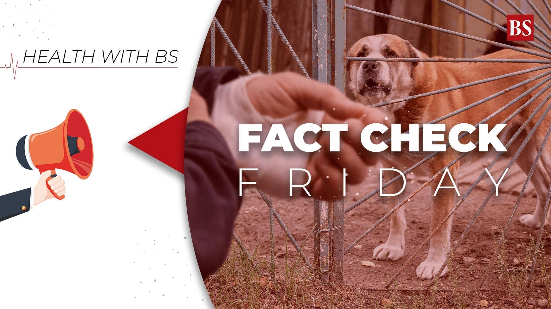 Rabies Myths Busted: Stay Smart, Stay Safe, Stay Alive