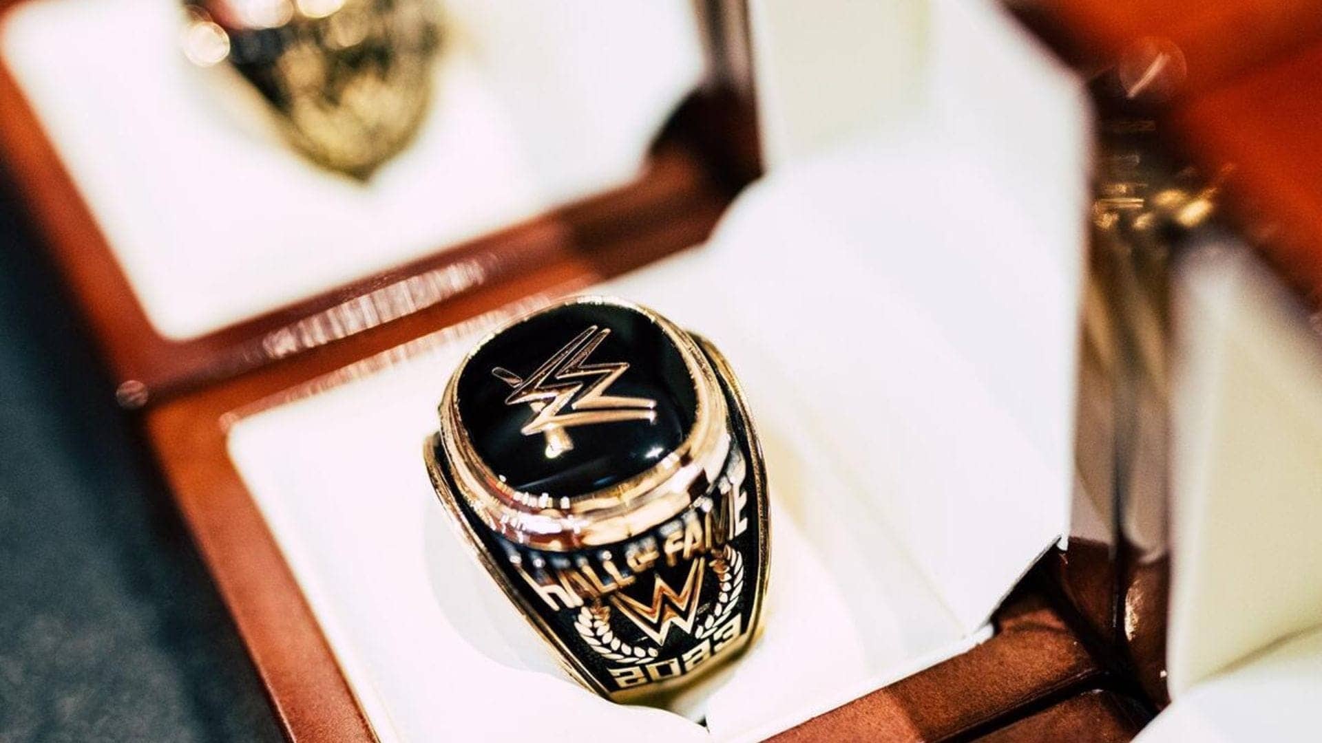 WWE Hall Of Fame Ring Stolen: Help Bring It Back!
