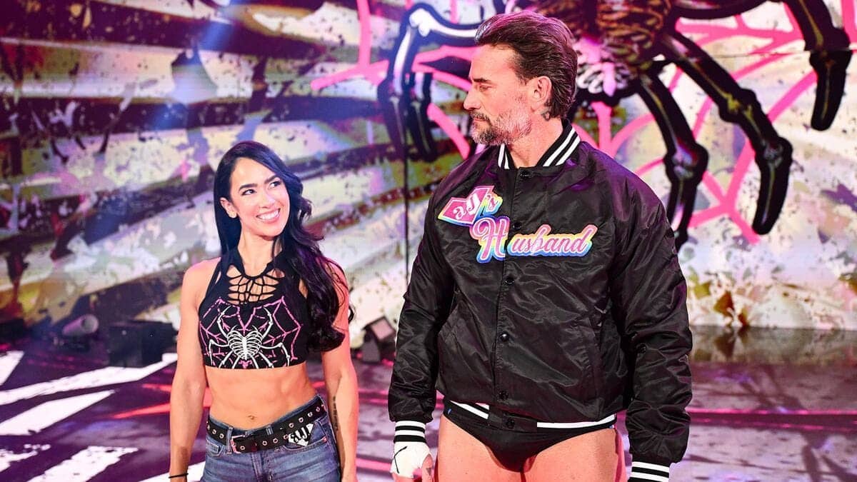 CM Punk Admits AJ Lee Needs a Break from the Road