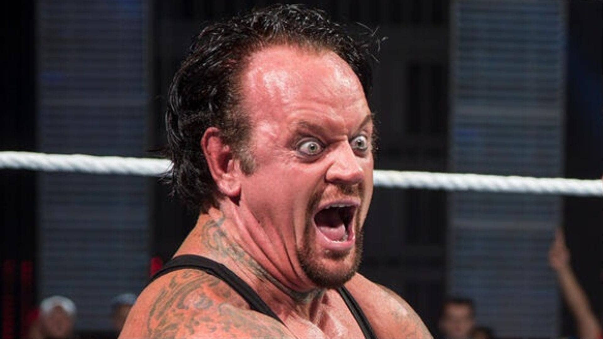 The Undertaker: WWE's Greatest Hangout Experience, Folks!