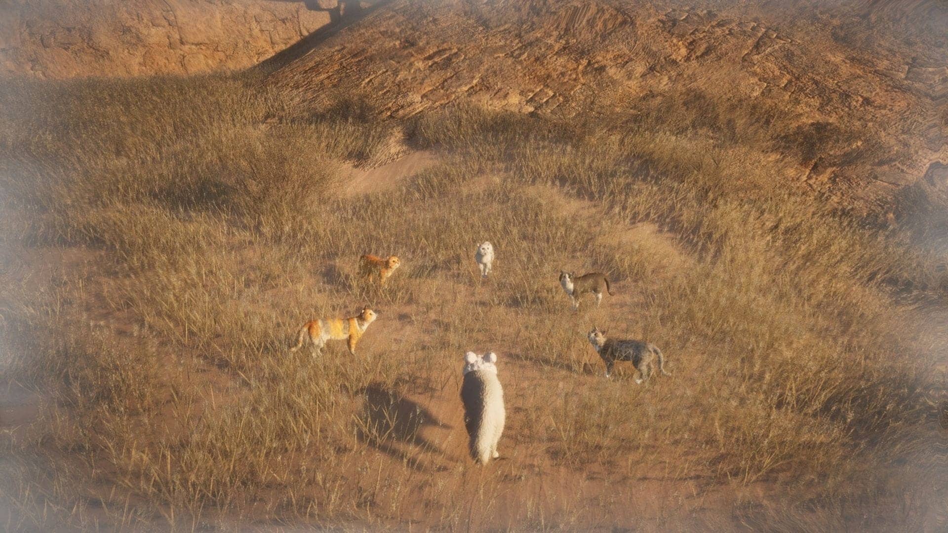 Become a Cat Whisperer in the Epic Cat Fever Quest