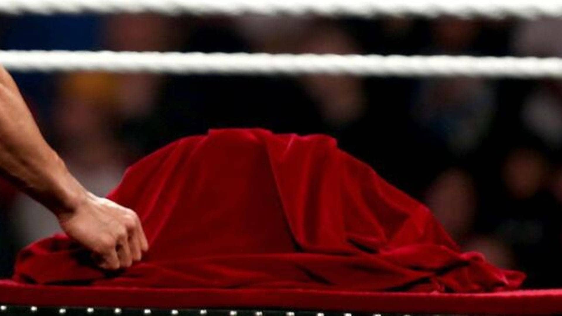 Kendal Grey Bids Farewell: EVOLVE Title Handed Over with Flair