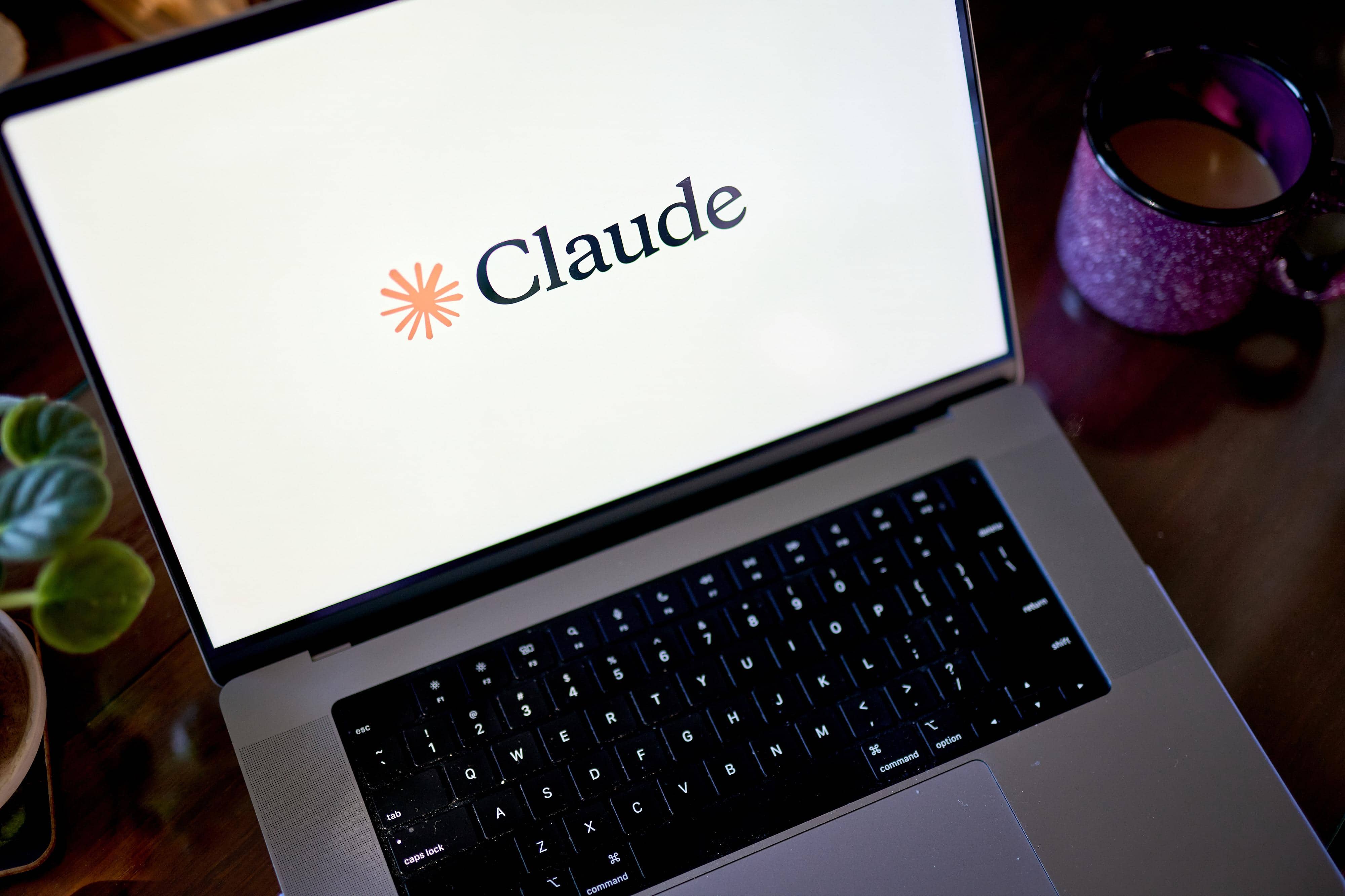 Experienced Claude users better at harnessing AI tool, says Anthropic