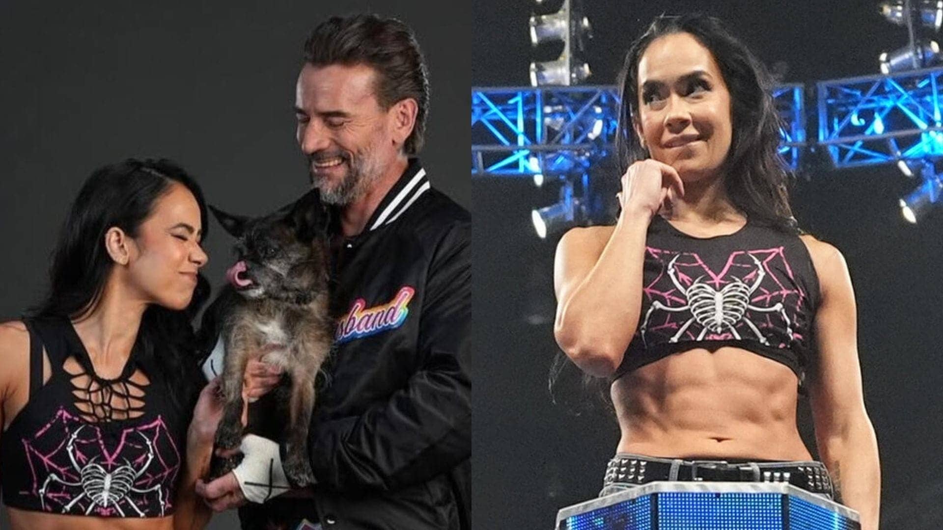 AJ Lee & CM Punk: WWE's Power Couple Takes Center Stage!
