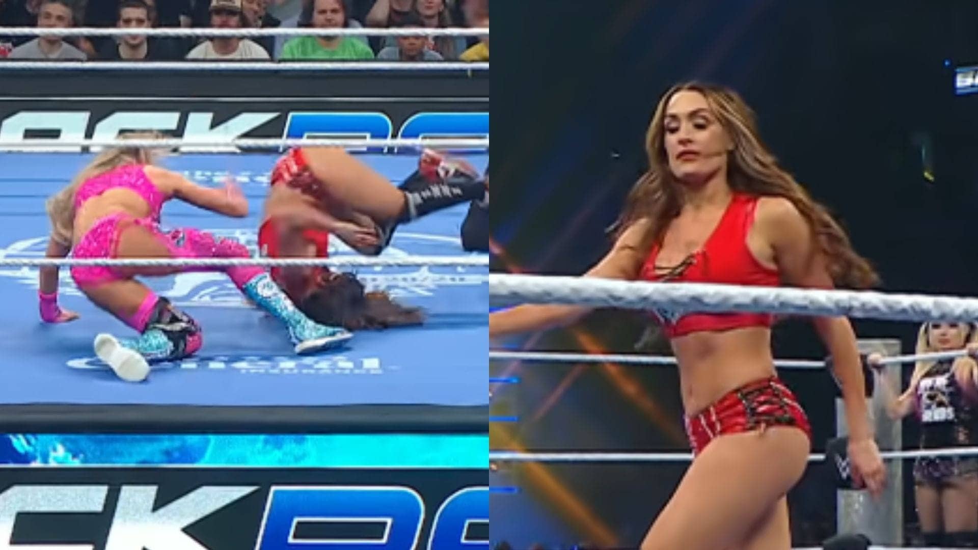 Nikki Bella's Ankle Adventure: Is It Broken? Major Update!