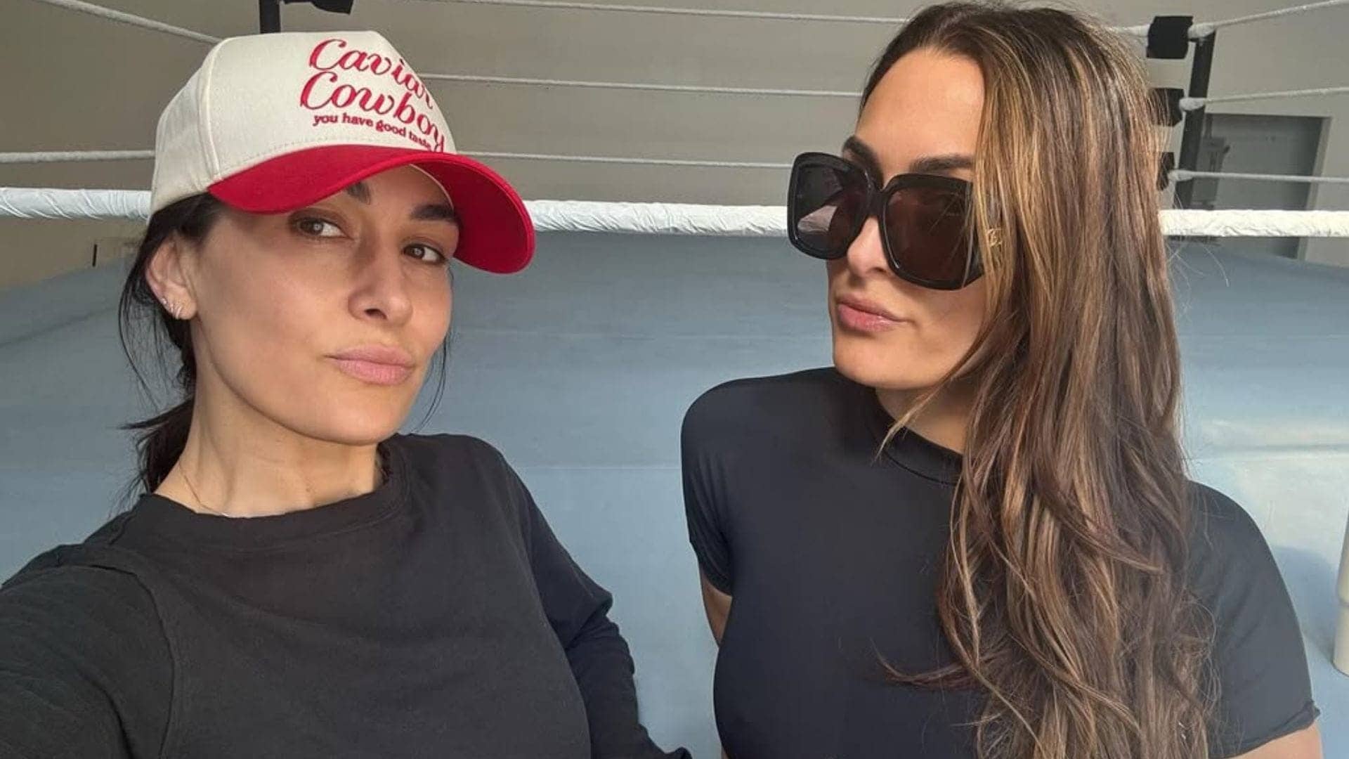 Brie Bella drops knowledge on Nikki's tough divorce vibes, g