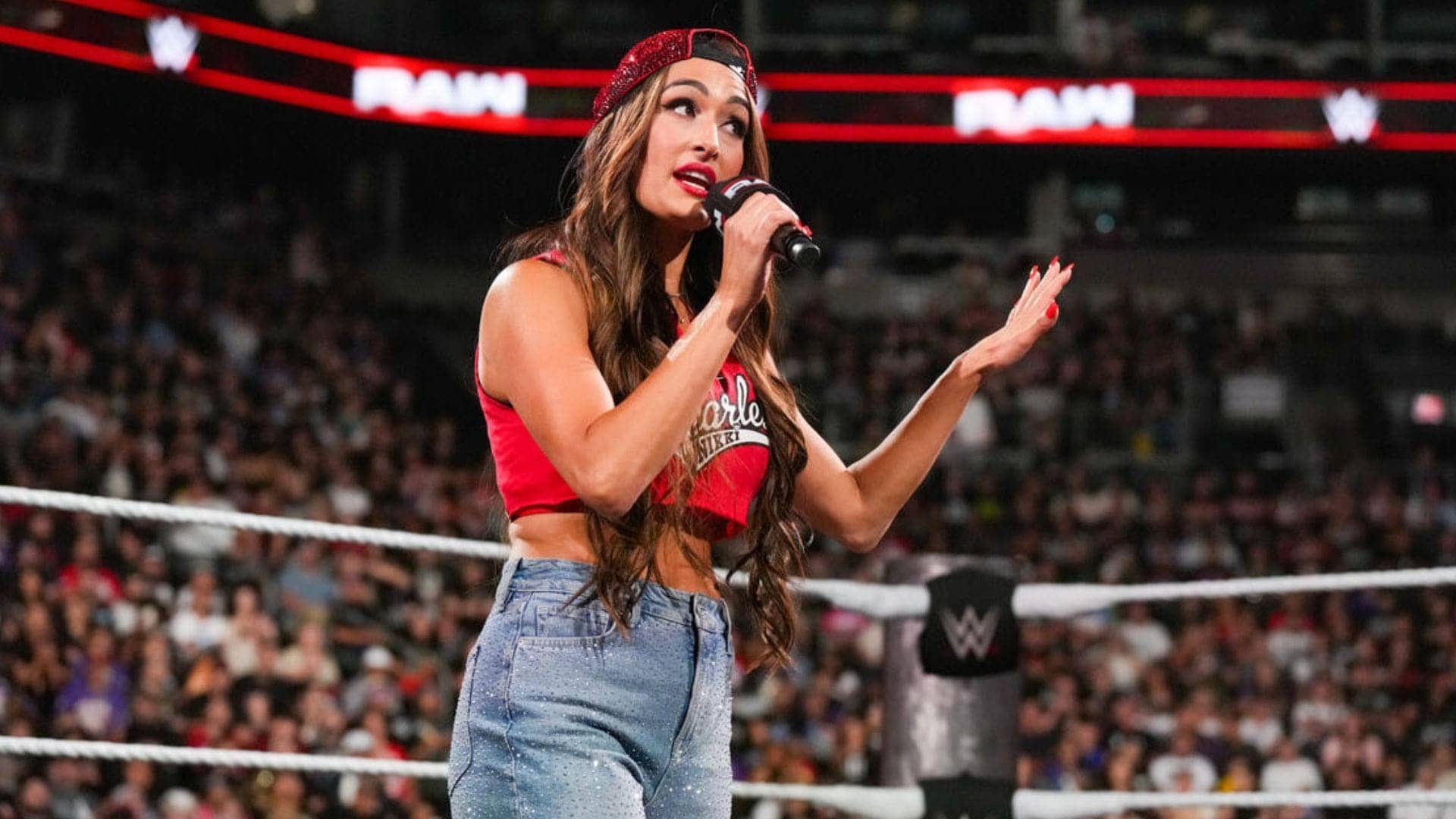 WWE's Backup Plans for Nikki Bella at WrestleMania 42 Unveiled