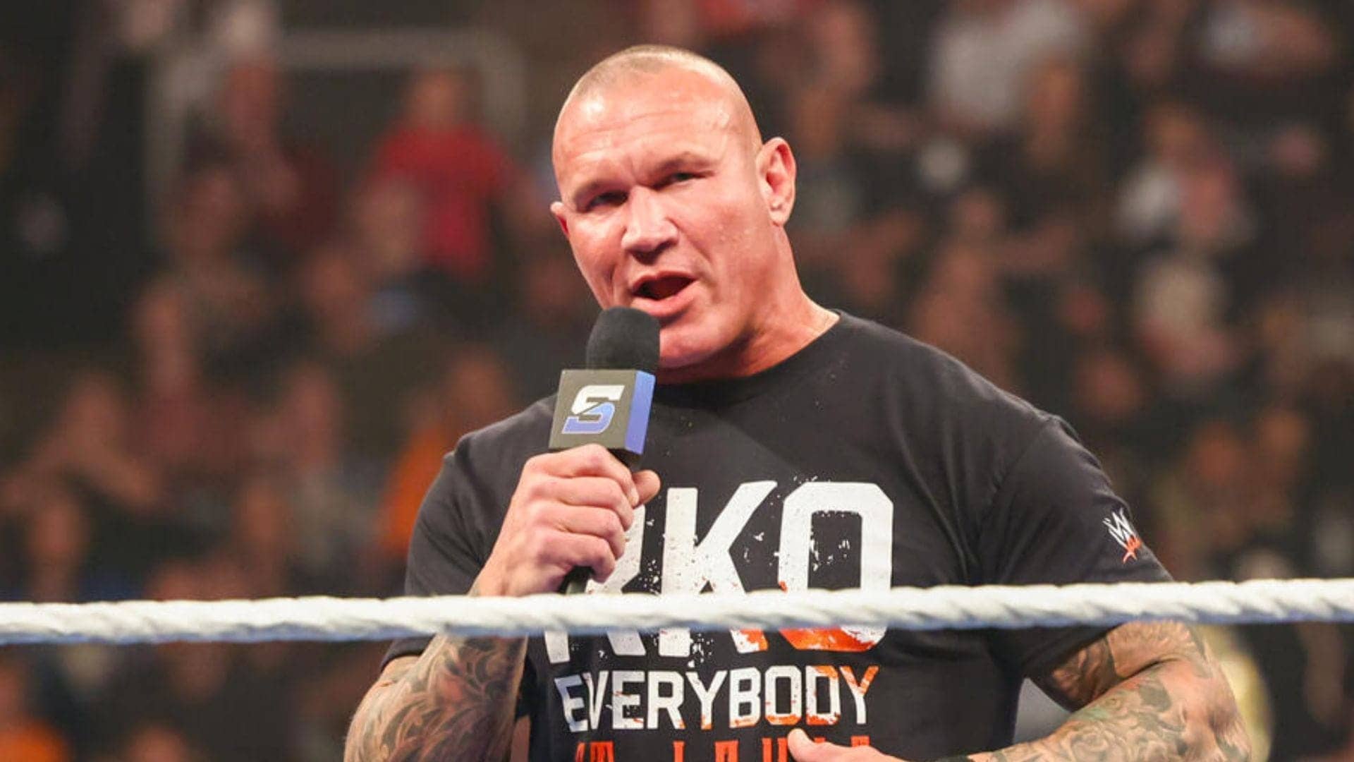 Randy Orton's Enchanted Quest: Four Years of Wizardry Ahead