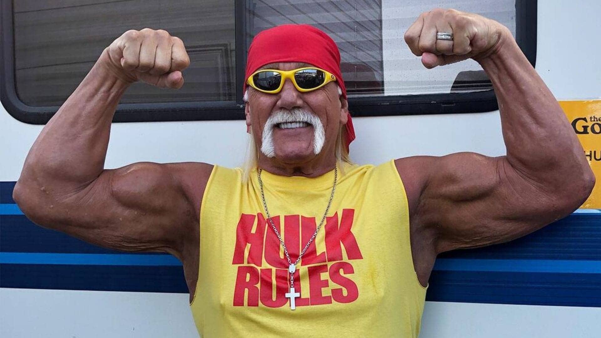 Bret Hart Calls Hulk Hogan a Backstabbing Title Thief