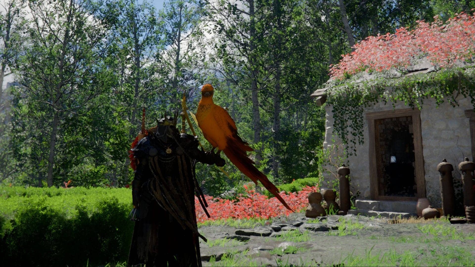How to get the new Phoenix pet in Crimson Desert?