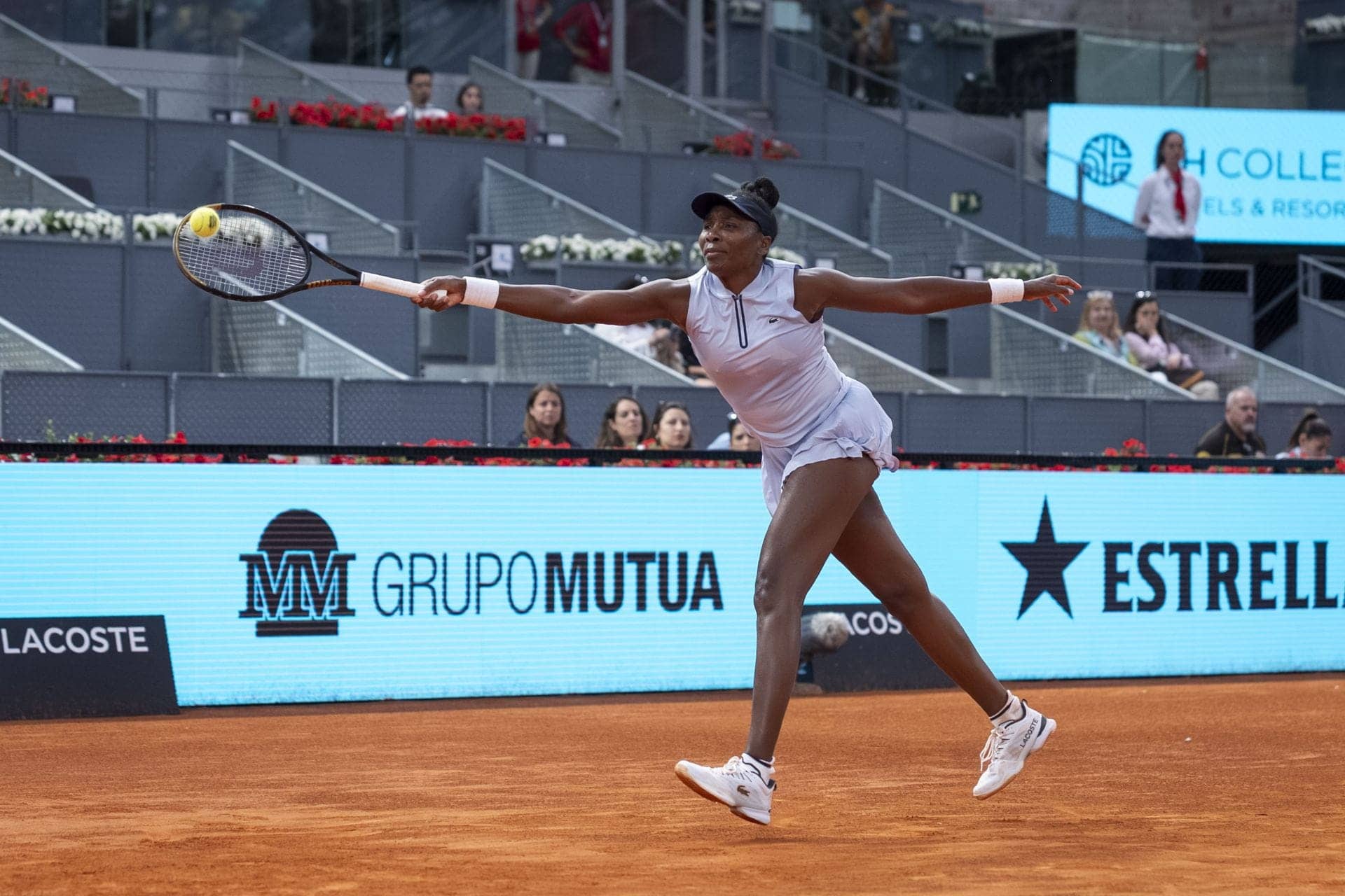 Andrea Preti Defends Venus Williams in Wildcard Chronicles