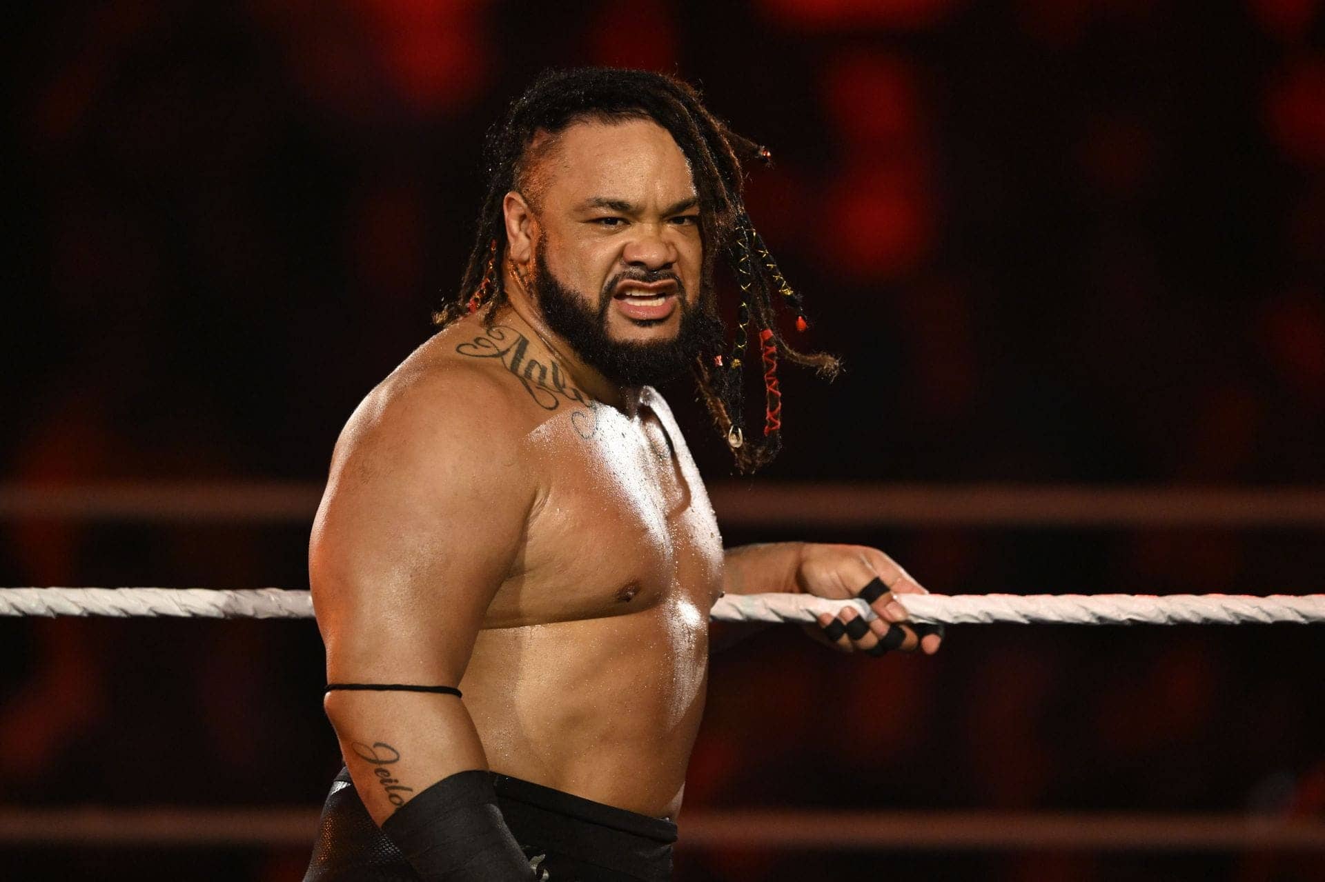 The Samoan Werewolf's Daring Challenge to the Tribal Chief