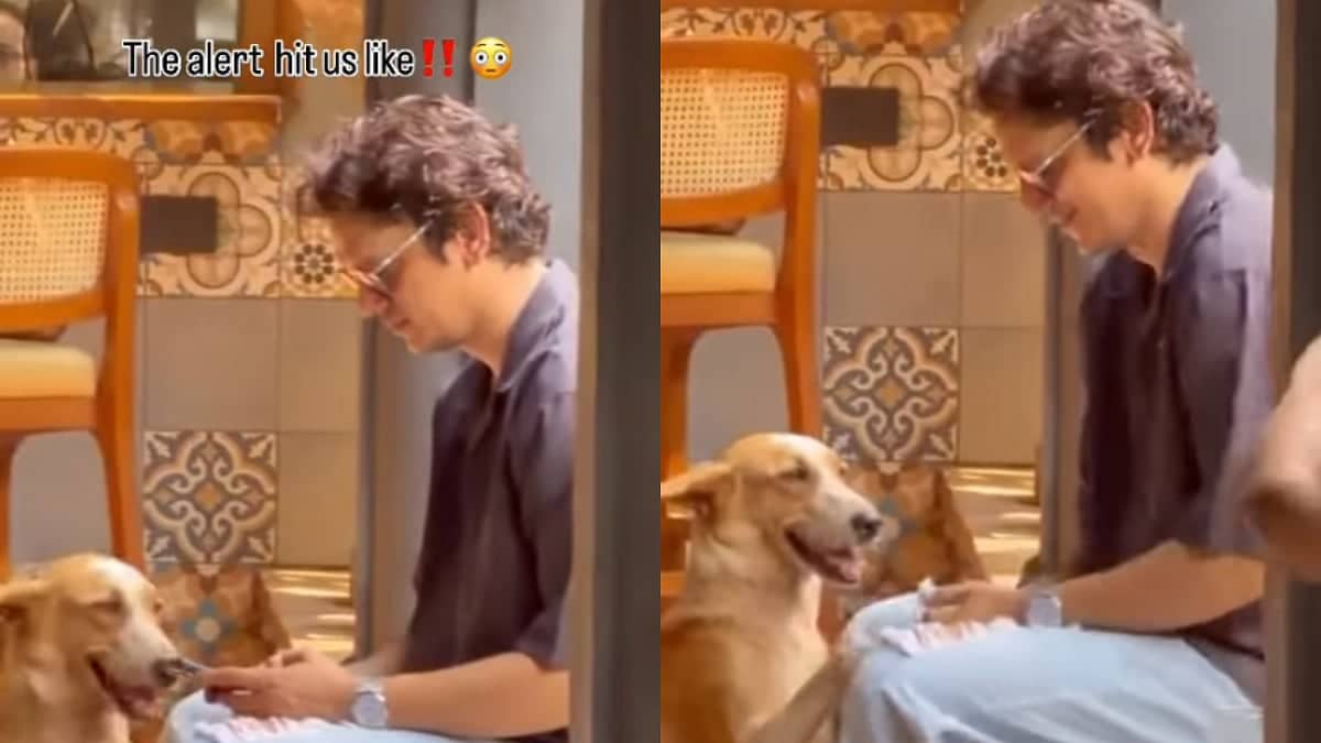 Vijay Varma Turns Disaster Alert into Laughter on Instagram