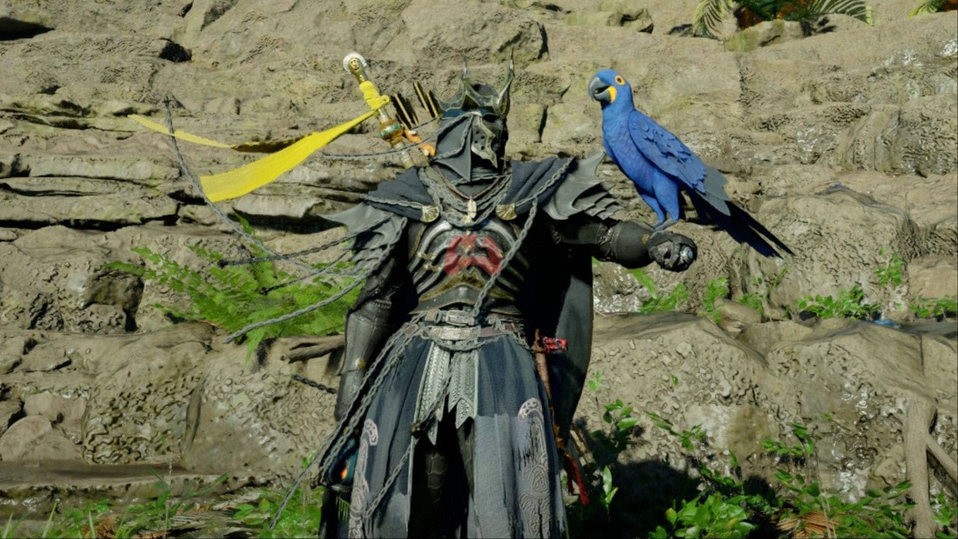 Hyacinth Macaw ka Chakkar: Kahan Hai Yeh Legendary Parrot?