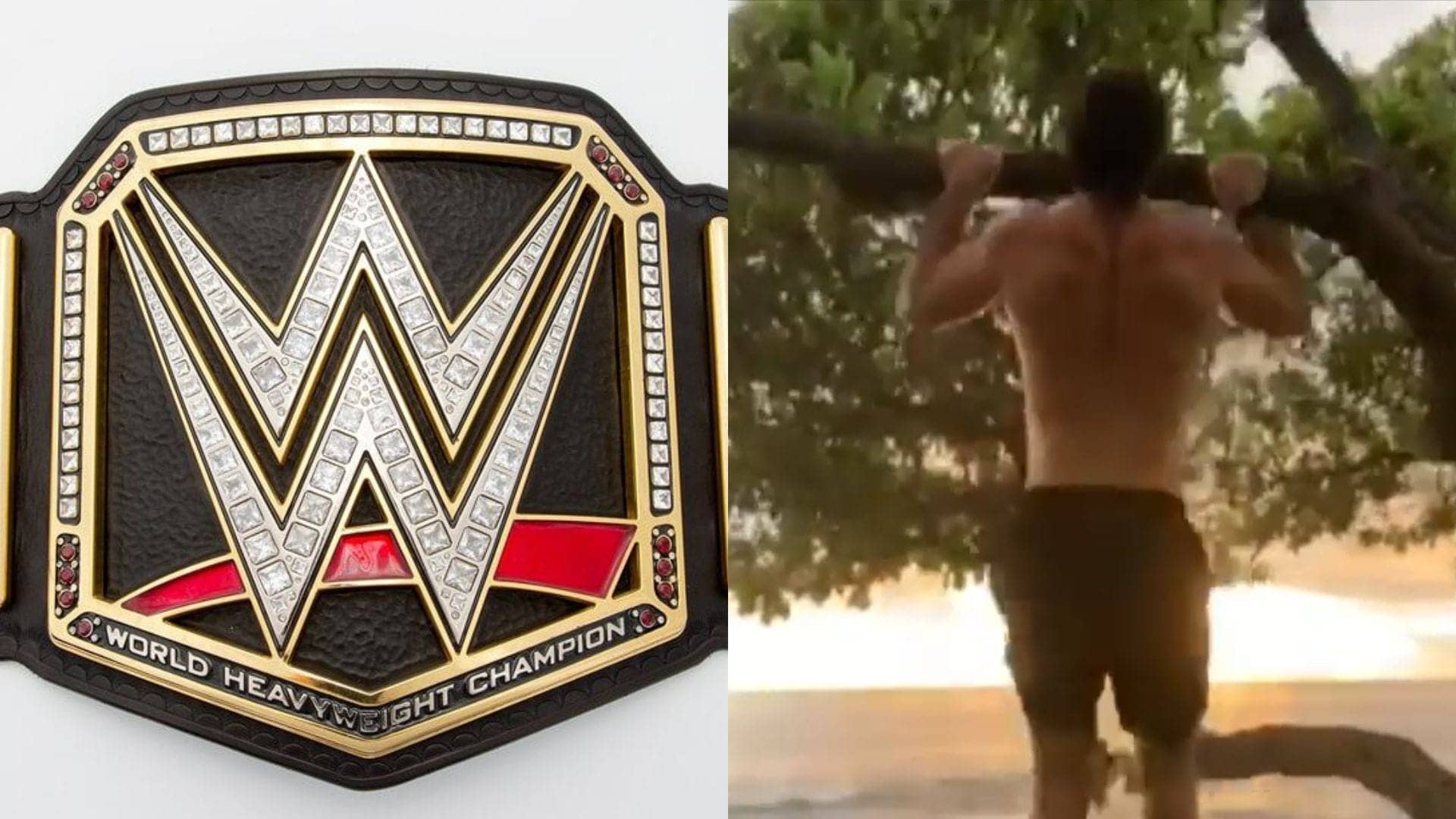 Seth Rollins ki retirement ka kya hoga? WWE Backlash mein drama!