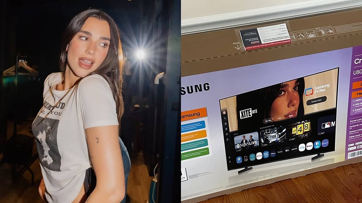 Dua Lipa Sues Samsung Over Her Face on TV Boxes