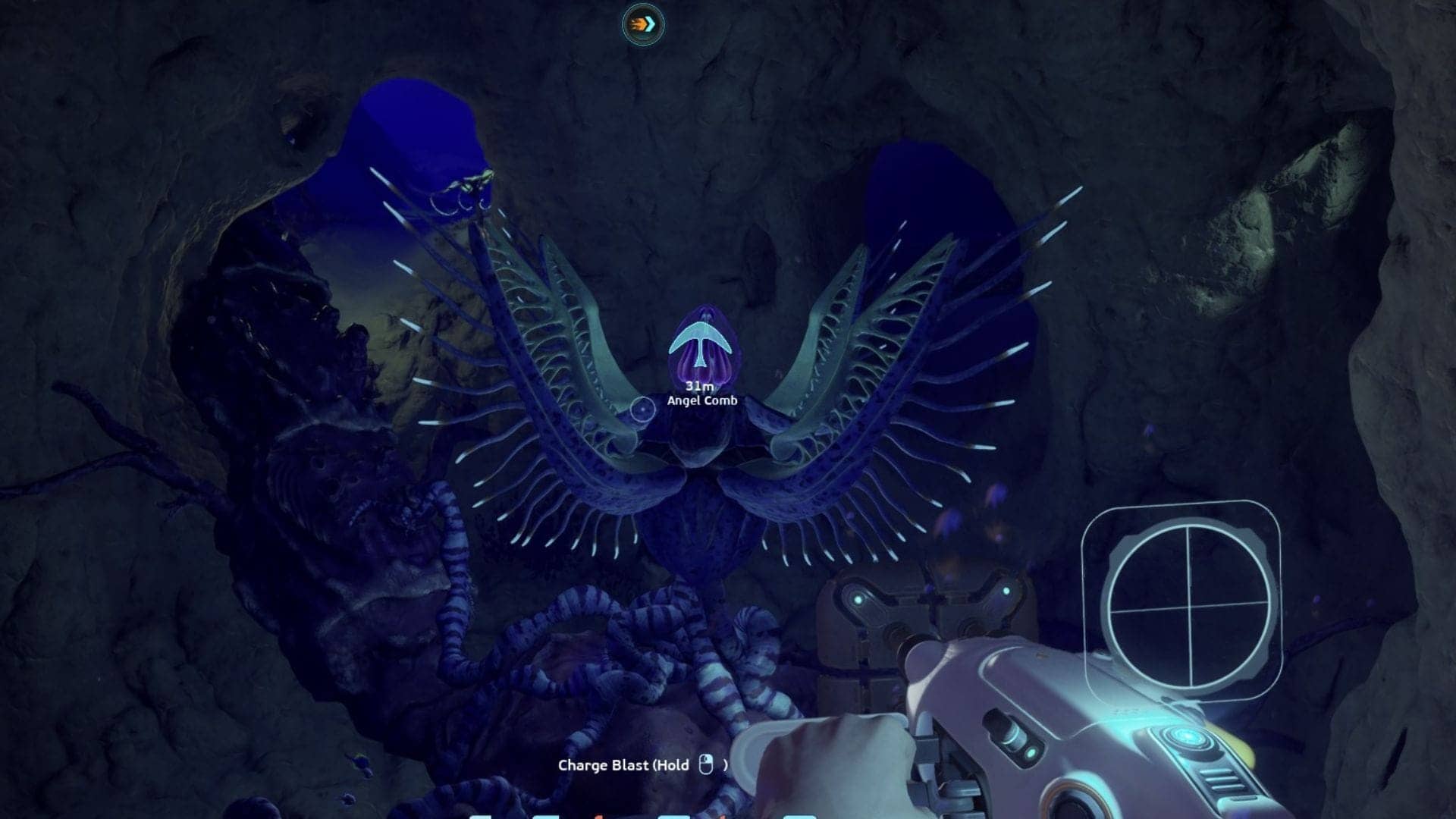 Dive Deep: Cure the Angel Comb and Level Up Your Game