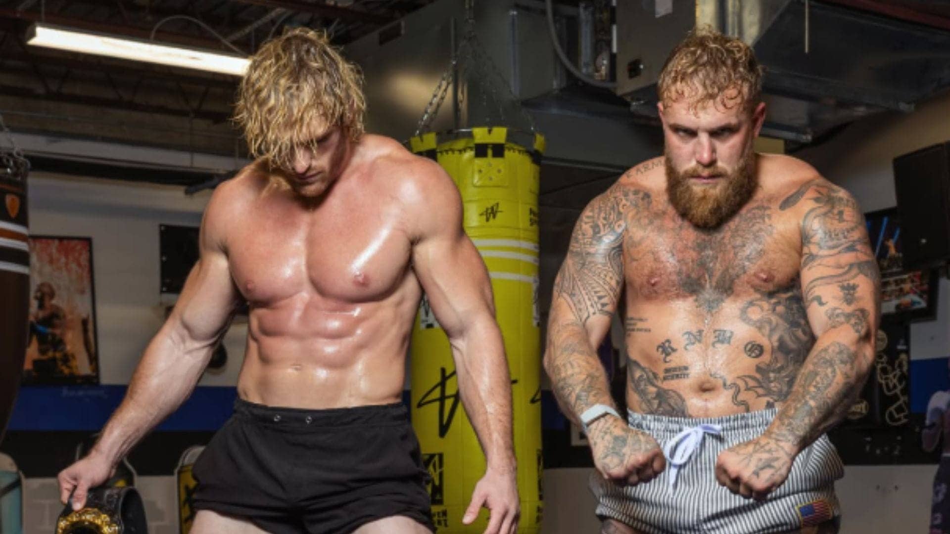 Jake Paul Sparks Logan Paul MMA Showdown Rumors Online