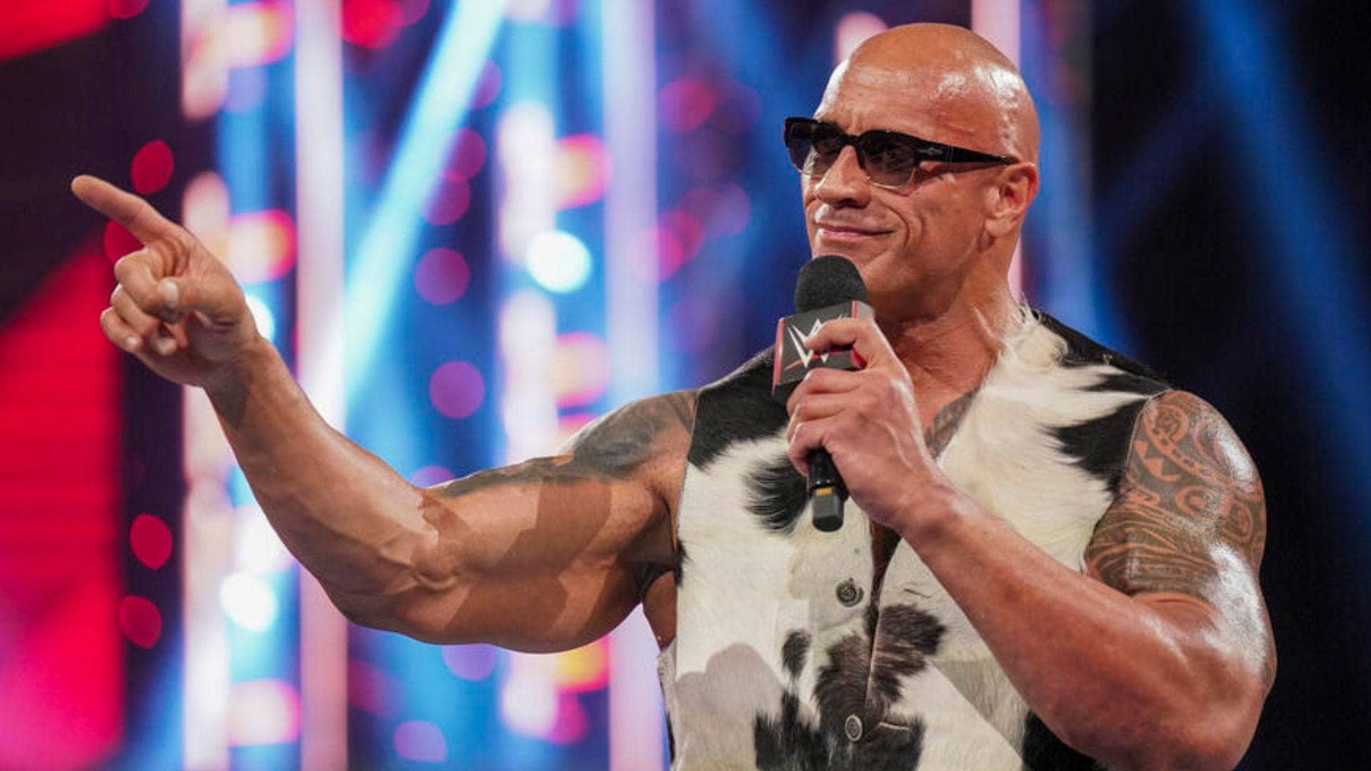 The Rock Shocks Fans: Daddy's Home and Ready to Shine