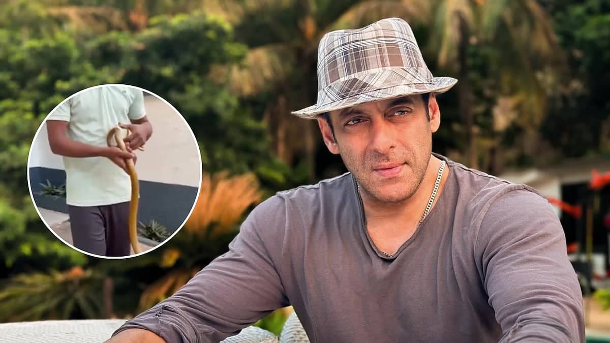 Five-Foot Snake Spotted at Salman Khan's Galaxy Apartments