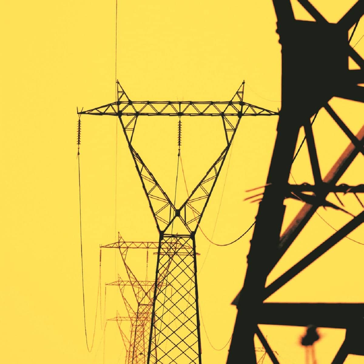 Delhi Residents Celebrate Supreme Court Ruling on Power Bills