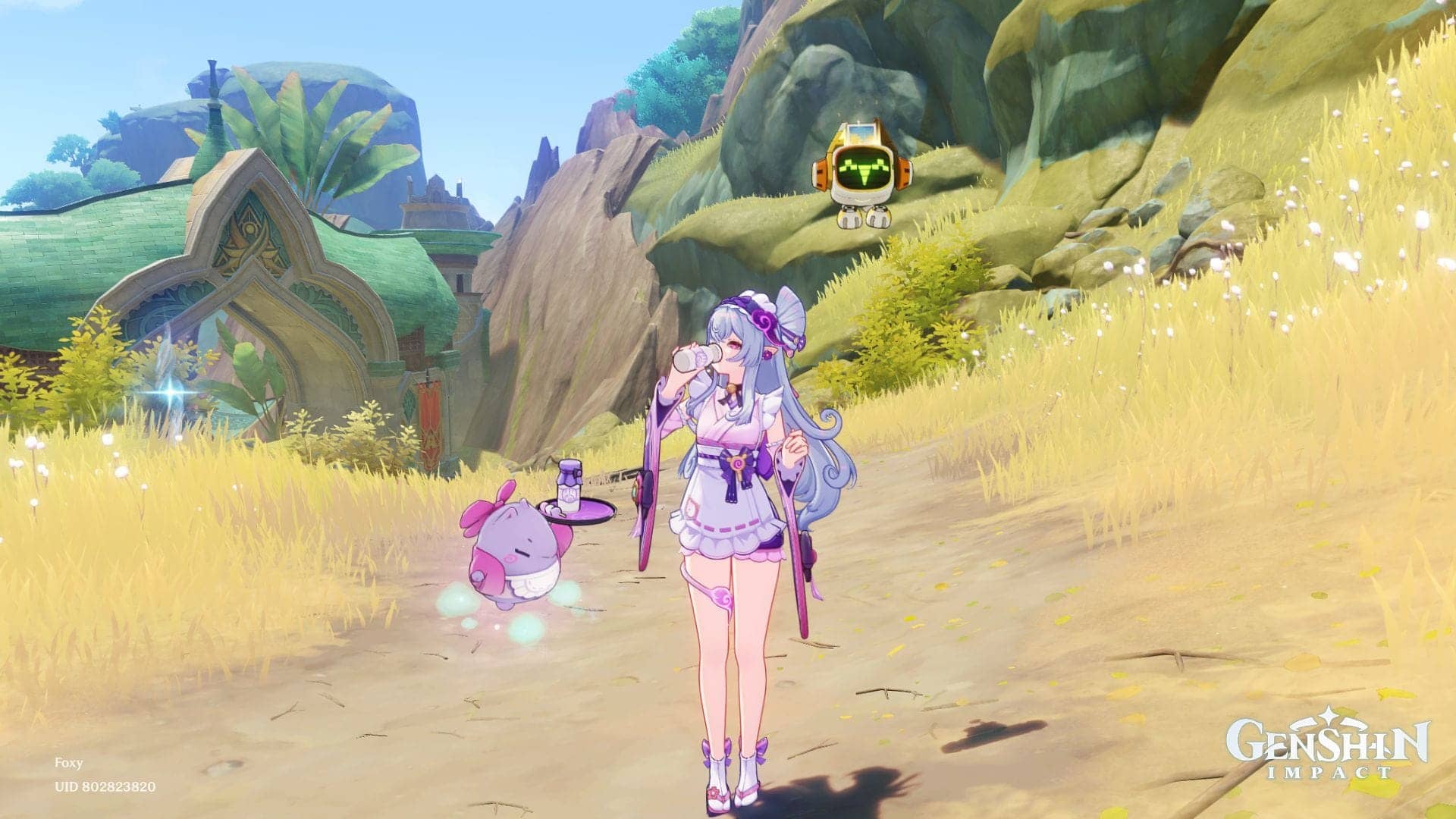 Genshin Impact 6.7 Mizuki buffs leaked