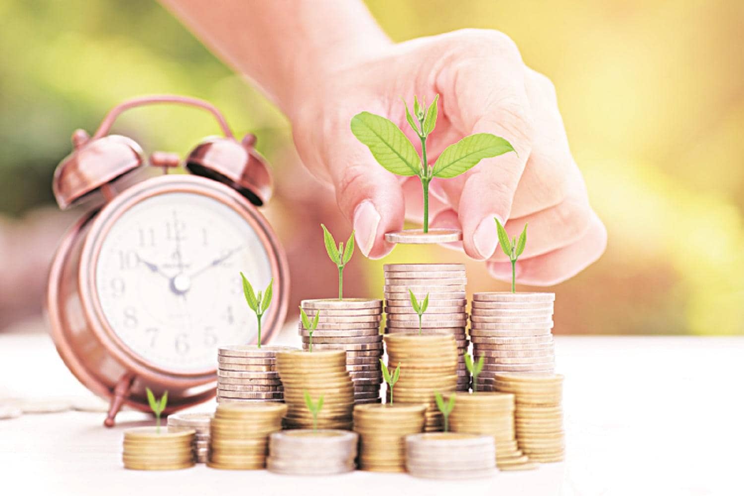 SBI Medium Duration Fund: A Wild Investment Adventure
