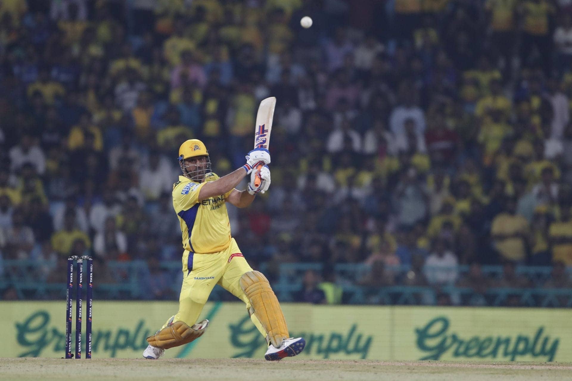 Dale Steyn Says MS Dhoni Should Hang Up His Boots Now!