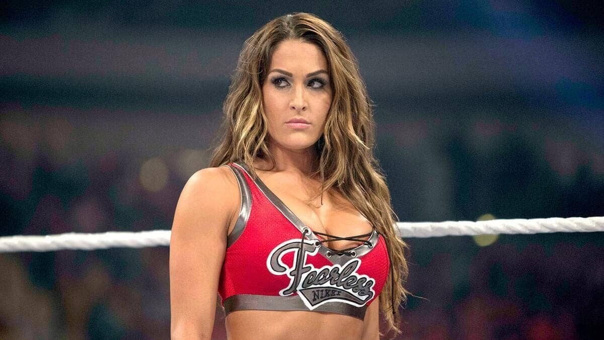 Nikki Bella's WWE Comeback Hits a Painful Roadblock