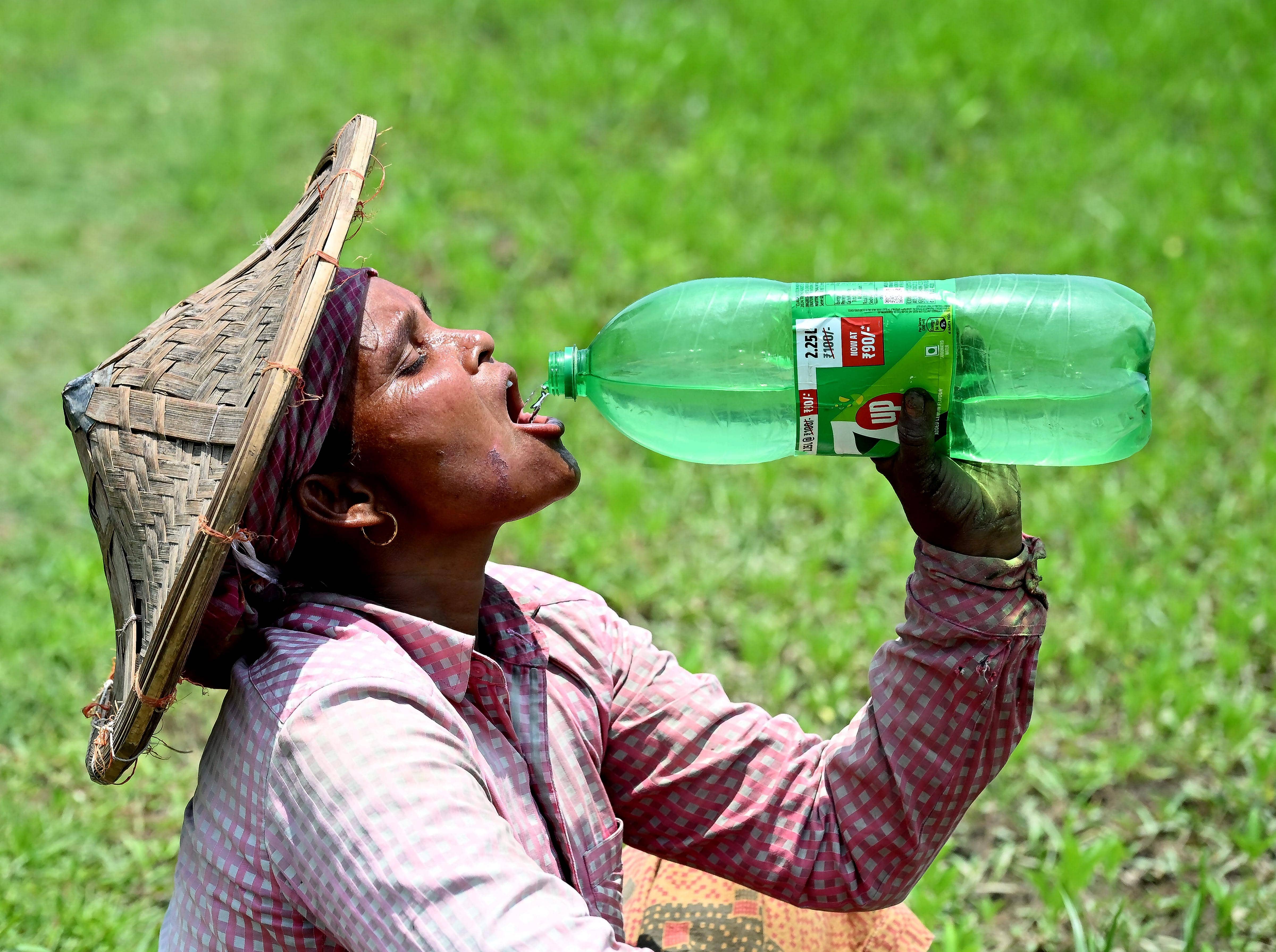 Heatwaves: When Hot Weather Turns Minds into Meltdowns