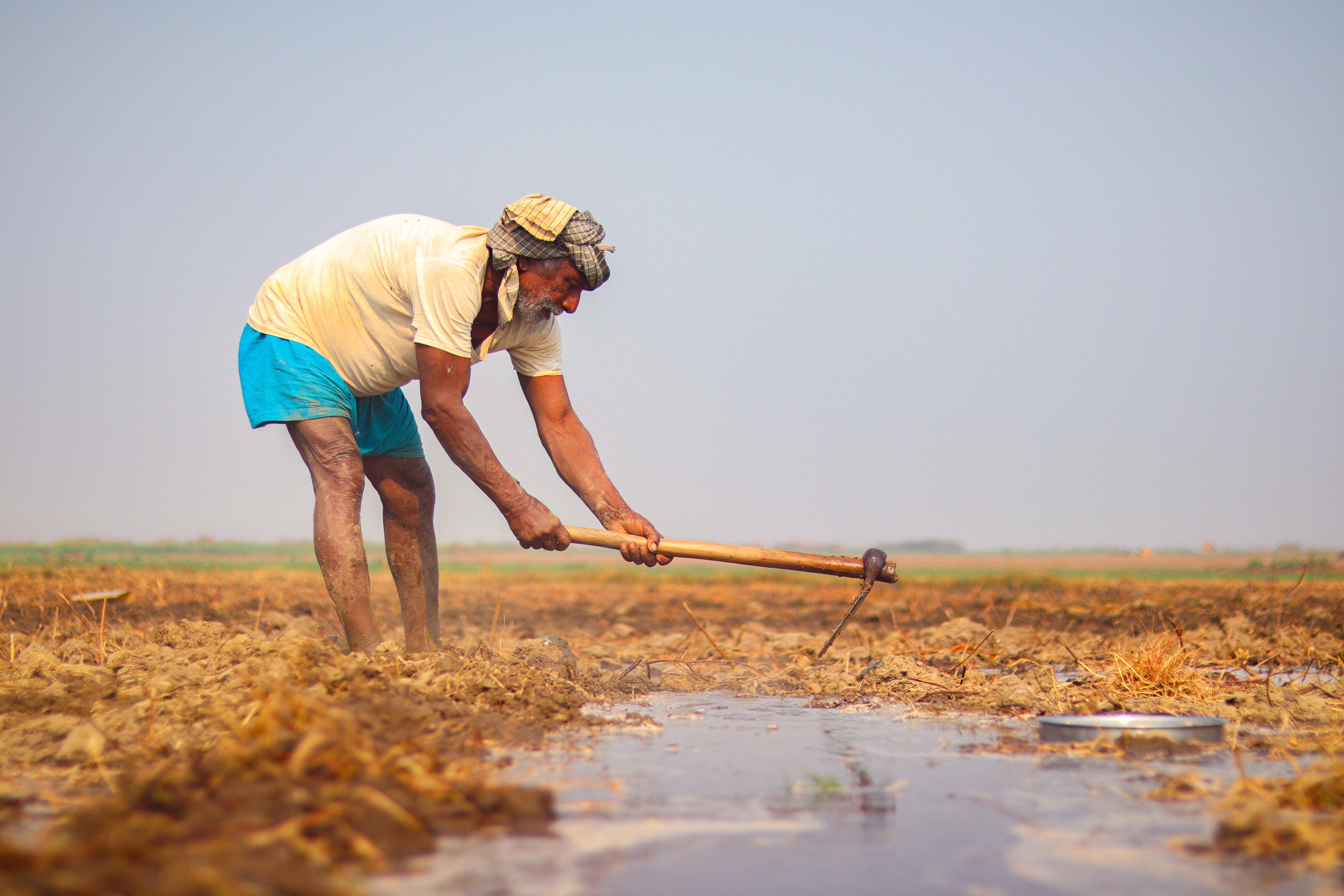 How extreme heat is exposing gaps in India's crop insurance system