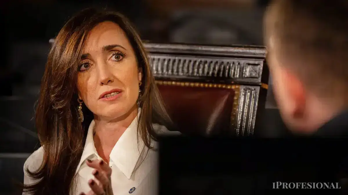 Victoria Villarruel Ka Tedeum Se Gayab Hone Ka Drama