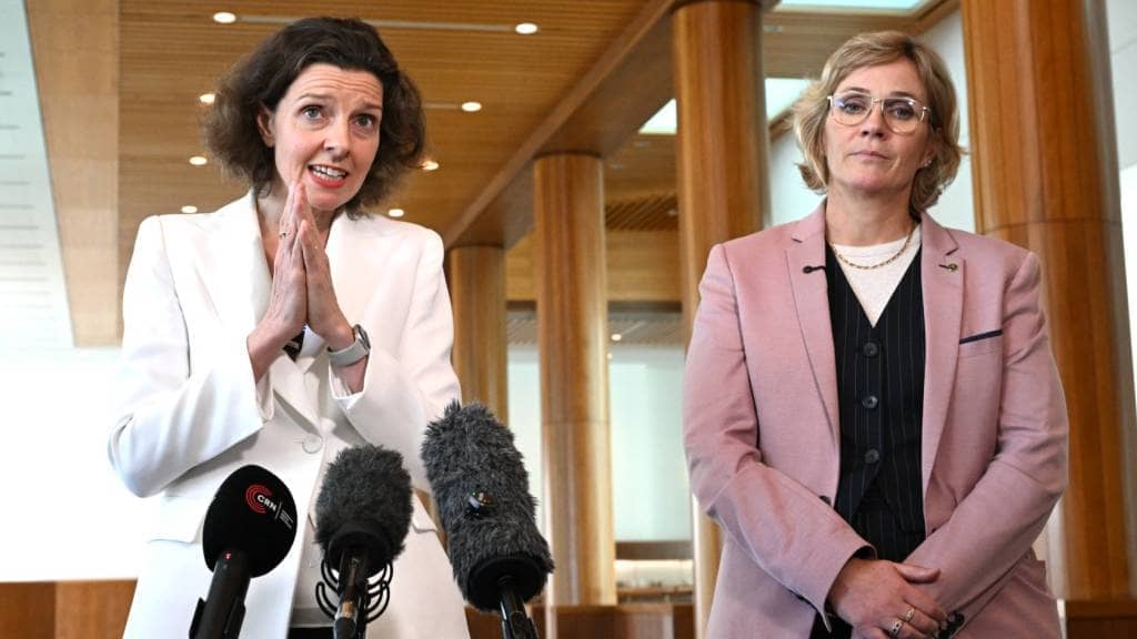 Teal Independents: The Surprise Party of Politics