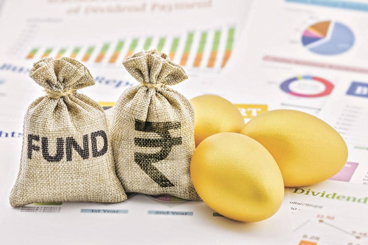 The Kotak Flexicap Fund: A Wild Investment Adventure