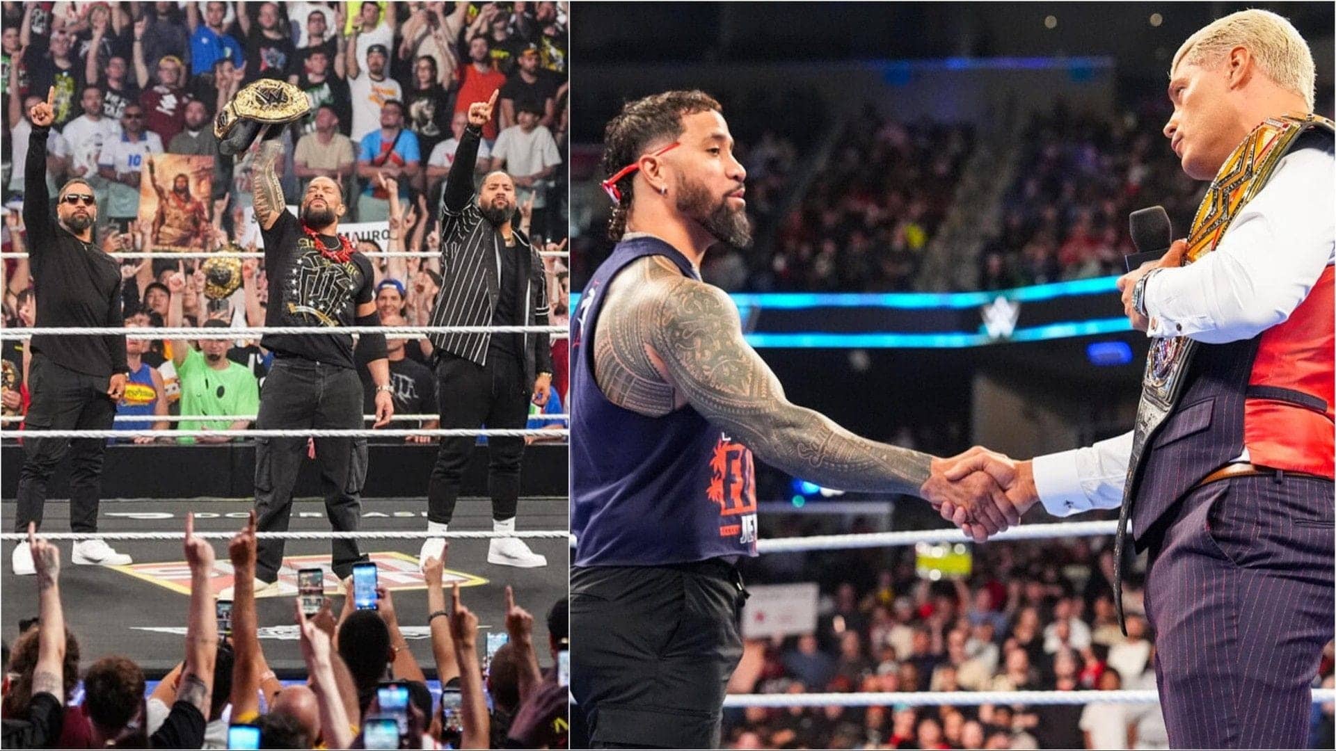 The Bloodline Is Set to Snag All the Gold Again!