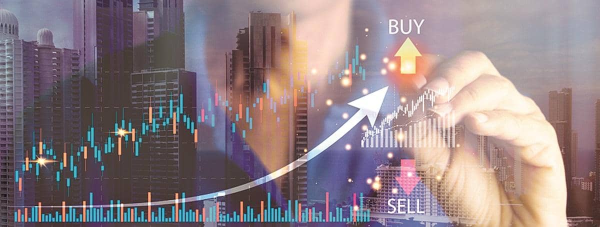 Parliamentary panel flags weak private investment, FPI outflows