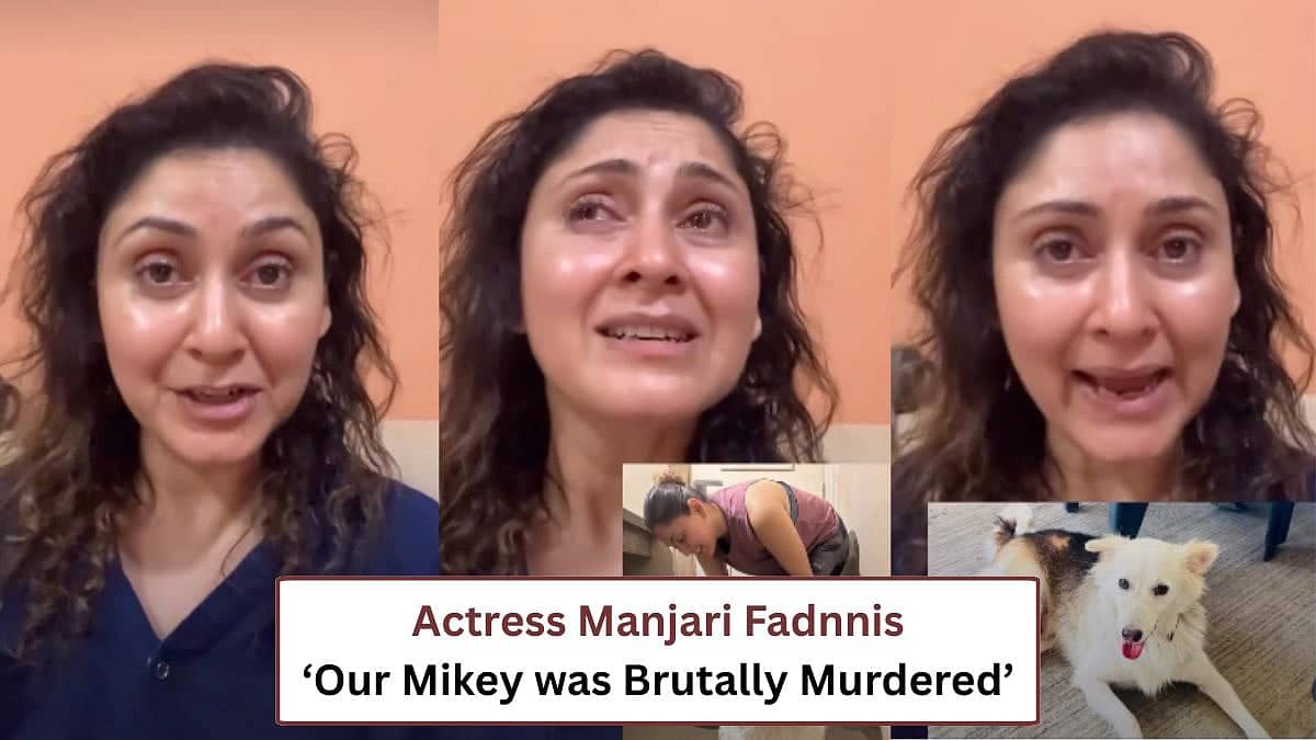 Actress Manjari Fadnnis Fights For Justice For Mikey