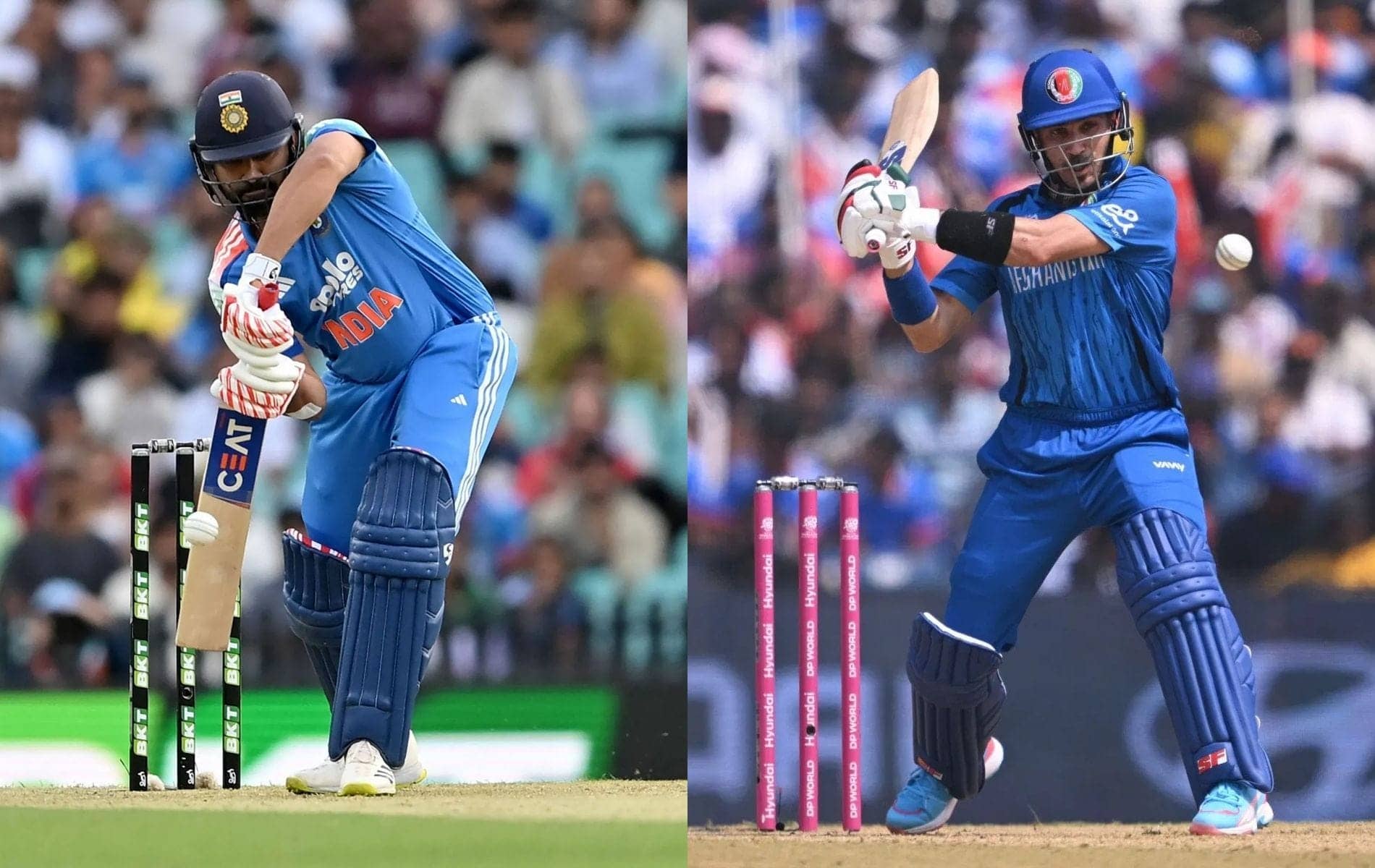 Rohit Sharma vs Rahmanullah Gurbaz: Epic ODI Stats Showdown