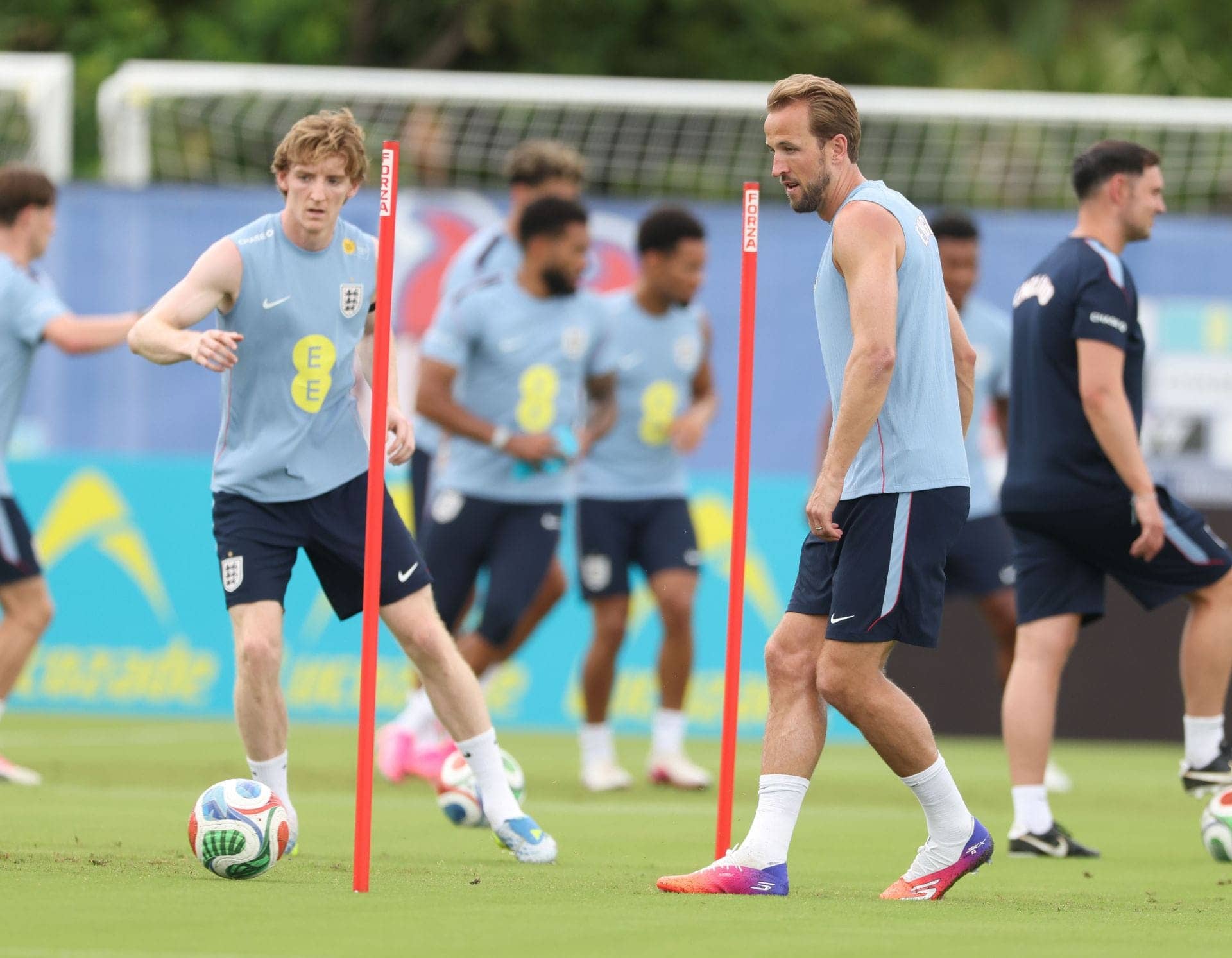 Harry Kane Playfully Offers to Join England's Cricket Team