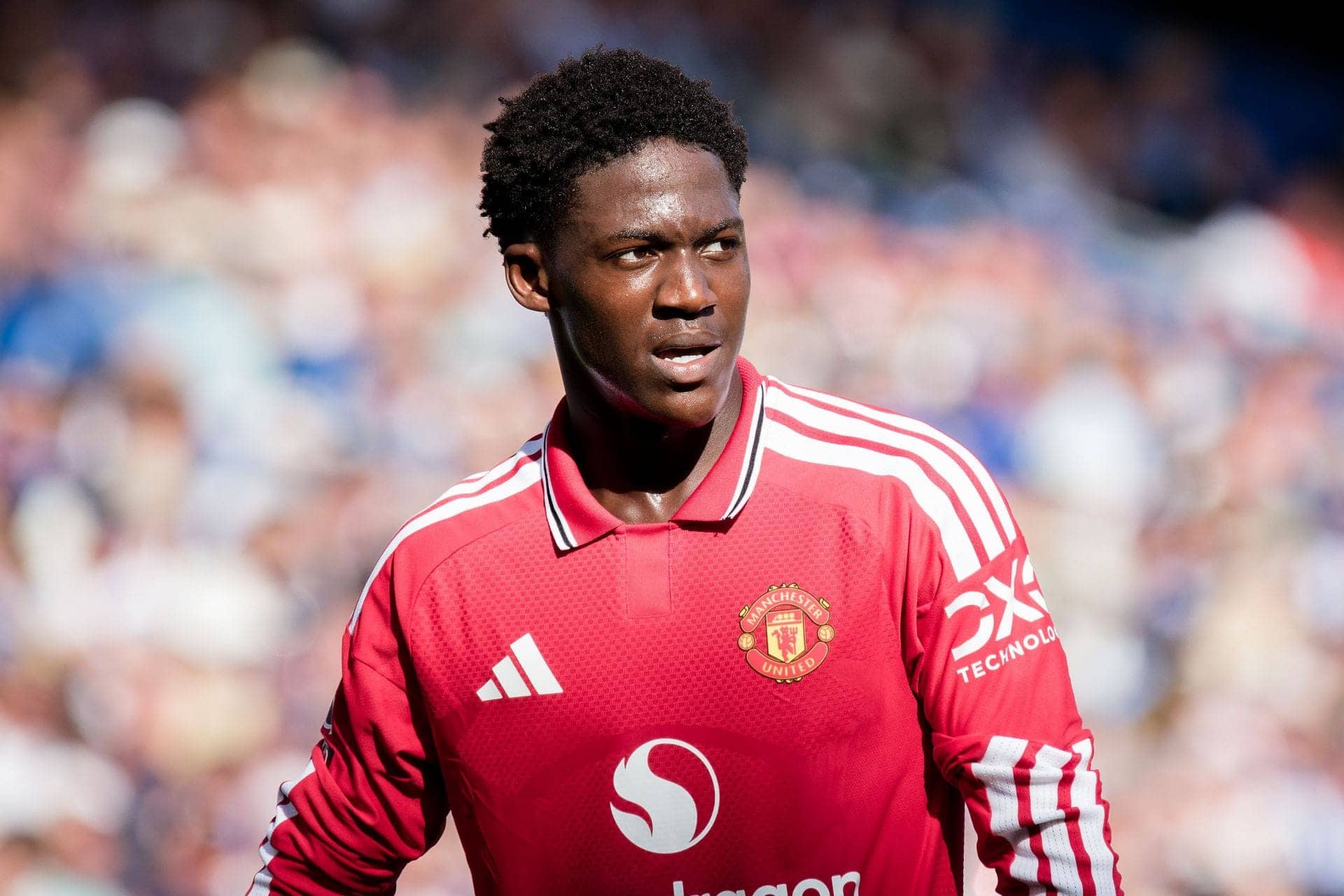 Valencia Urges Man U to Sign Caicedo and Pacho for Glory