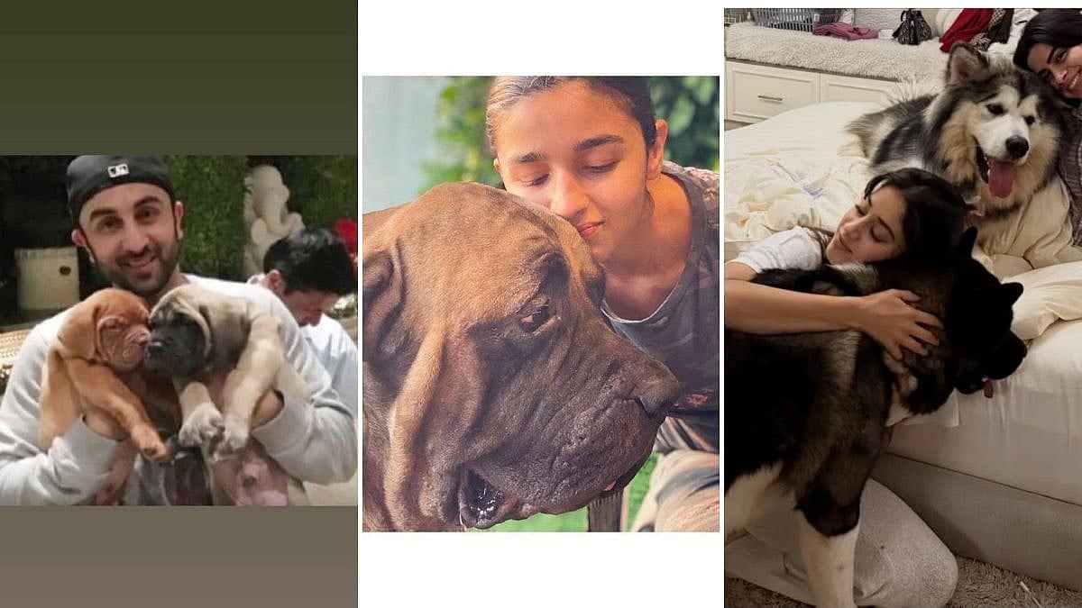 Bollywood Stars and Their Adorable Pets Living the Dream