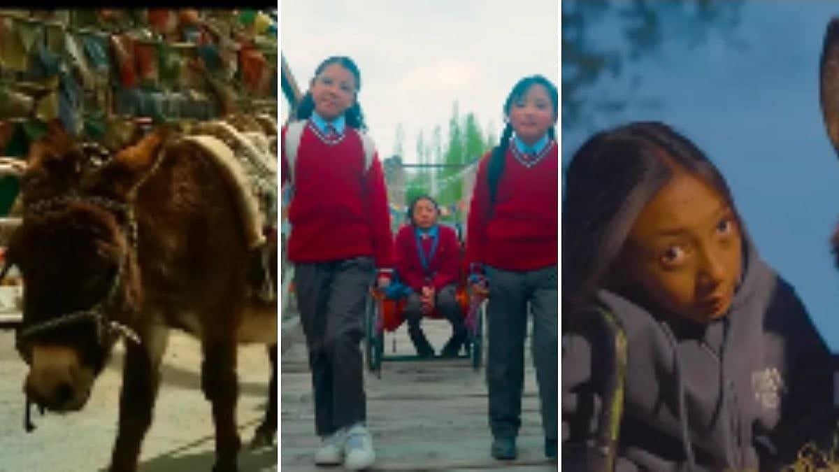 Little Big Dreams: A Girl, Her Donkey, And Big Dreams!