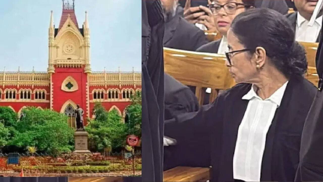 Calcutta High Court's Enchanted Ruling on Ritabrata's Quest